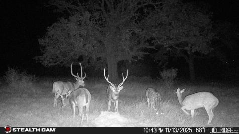 740 Optimist Way Bandera TX 78003