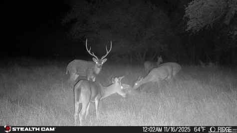 740 Optimist Way Bandera TX 78003