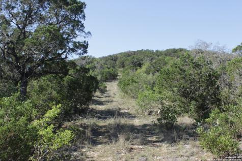 1976 W Cedar Creek Leakey TX 78873