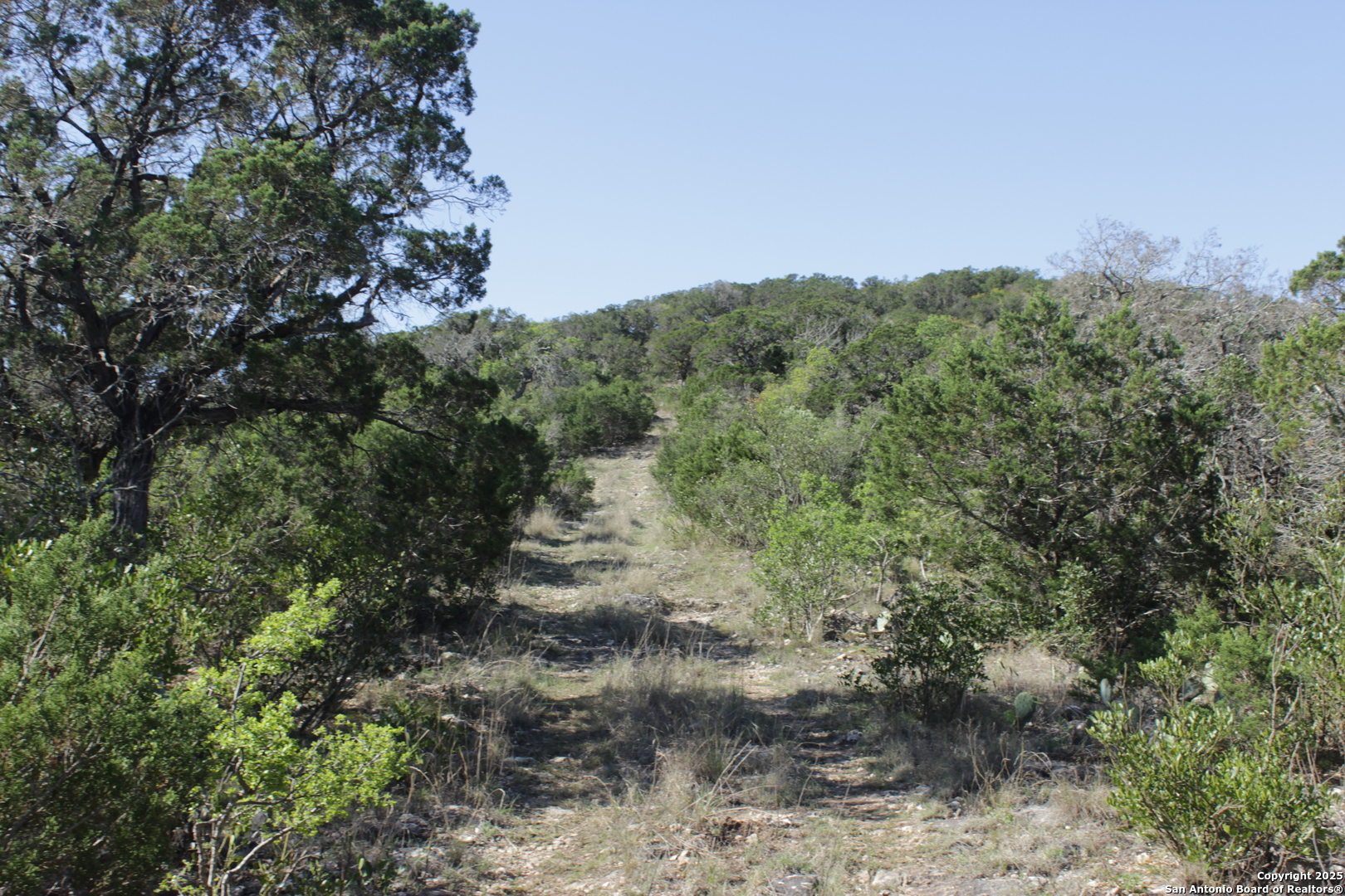 1976 W Cedar Creek Leakey TX 78873