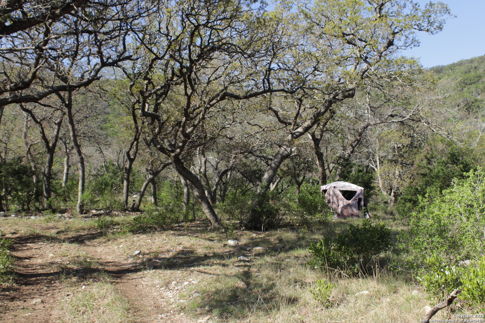 1976 W Cedar Creek Leakey TX 78873