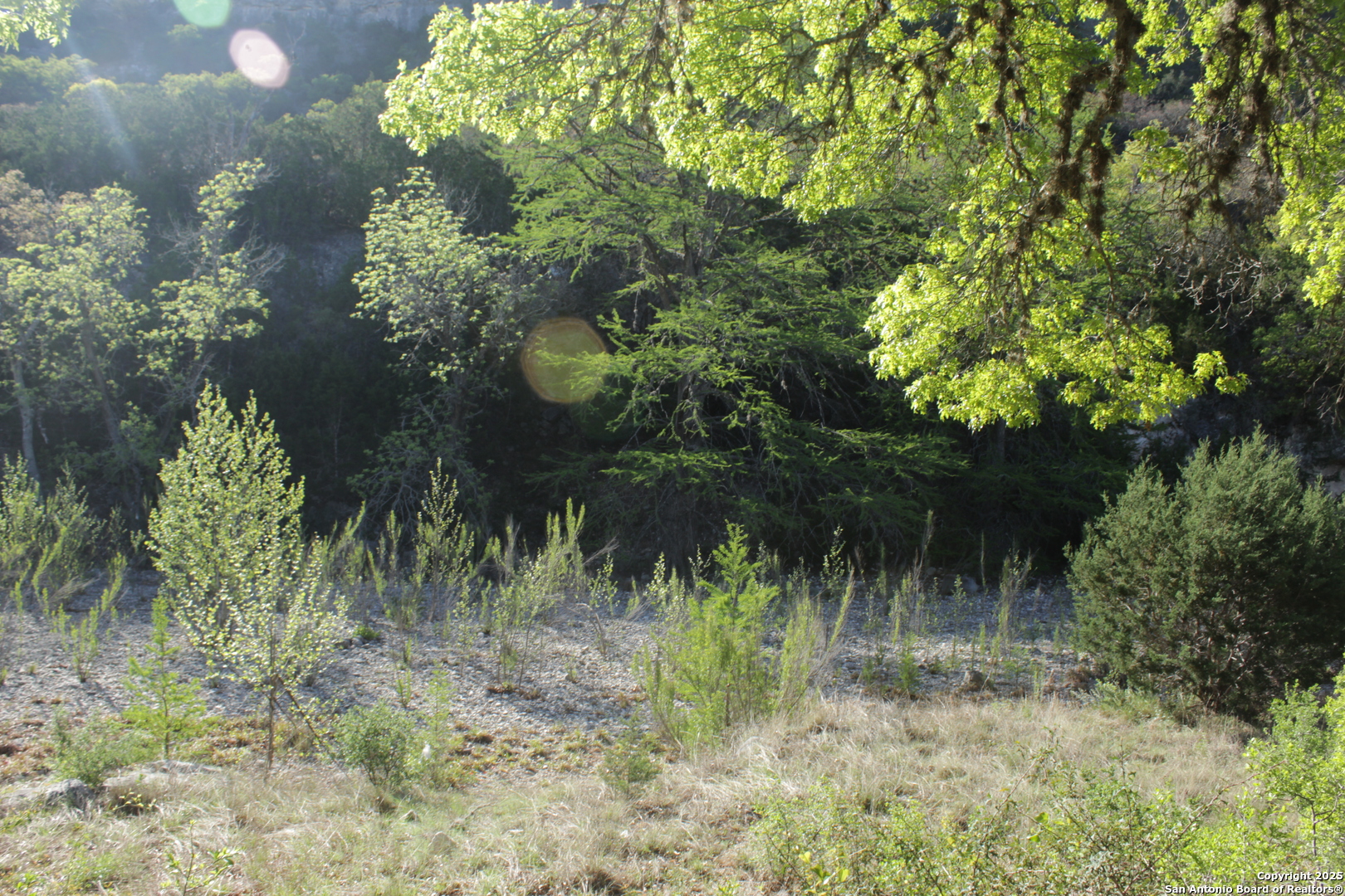 1976 W Cedar Creek Leakey TX 78873