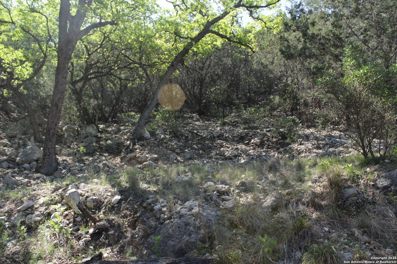 1976 W Cedar Creek Leakey TX 78873