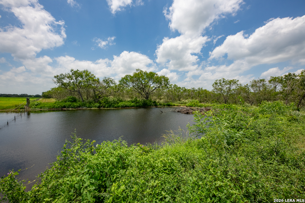1393 Fox Trotter Seguin TX 78155