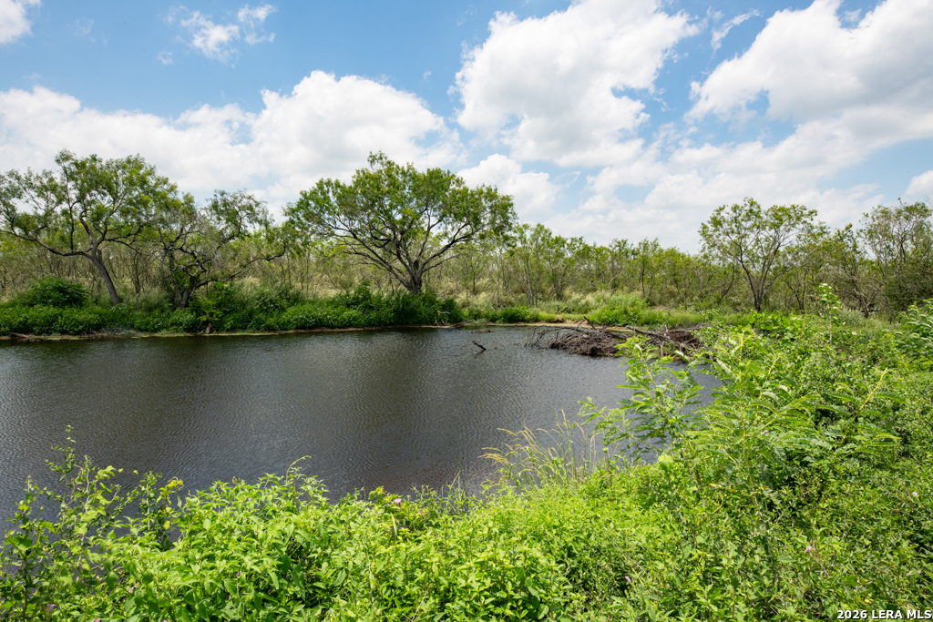 1393 Fox Trotter Seguin TX 78155