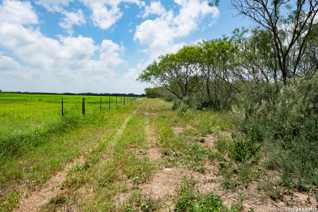 1393 Fox Trotter Seguin TX 78155