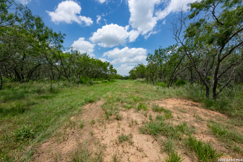 1393 Fox Trotter Seguin TX 78155