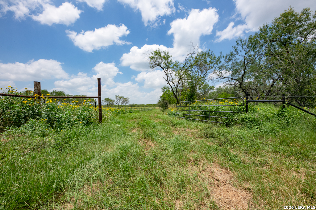 1393 Fox Trotter Seguin TX 78155