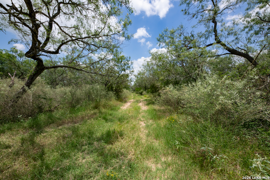 1393 Fox Trotter Seguin TX 78155