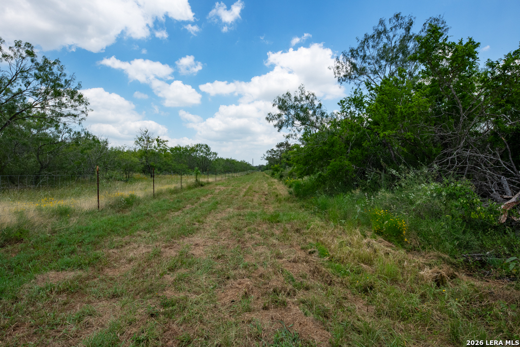 1393 Fox Trotter Seguin TX 78155