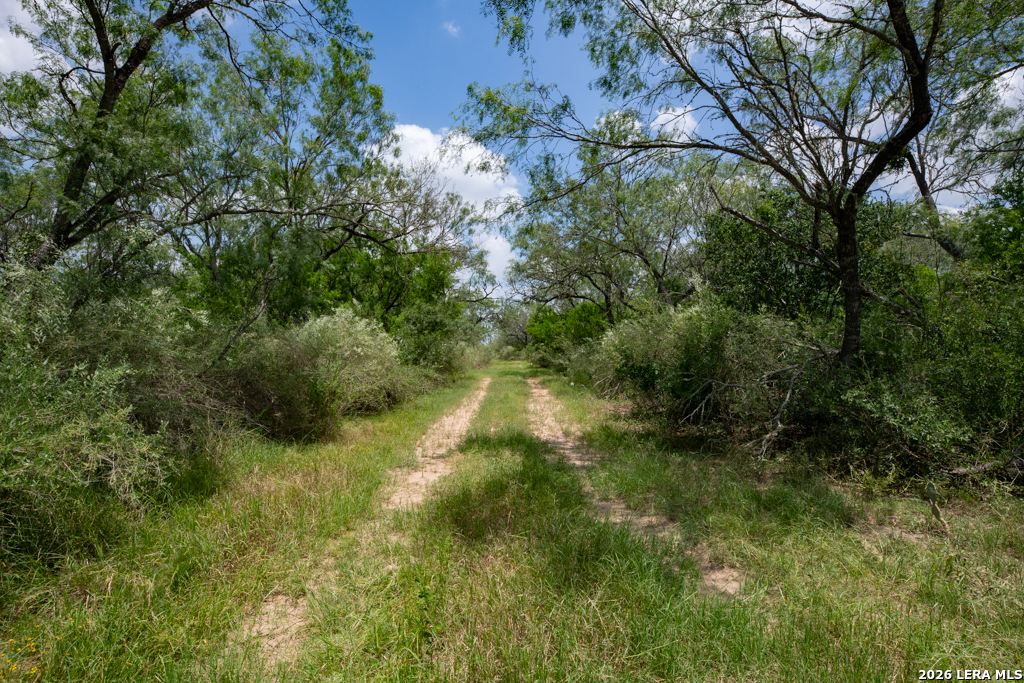1393 Fox Trotter Seguin TX 78155