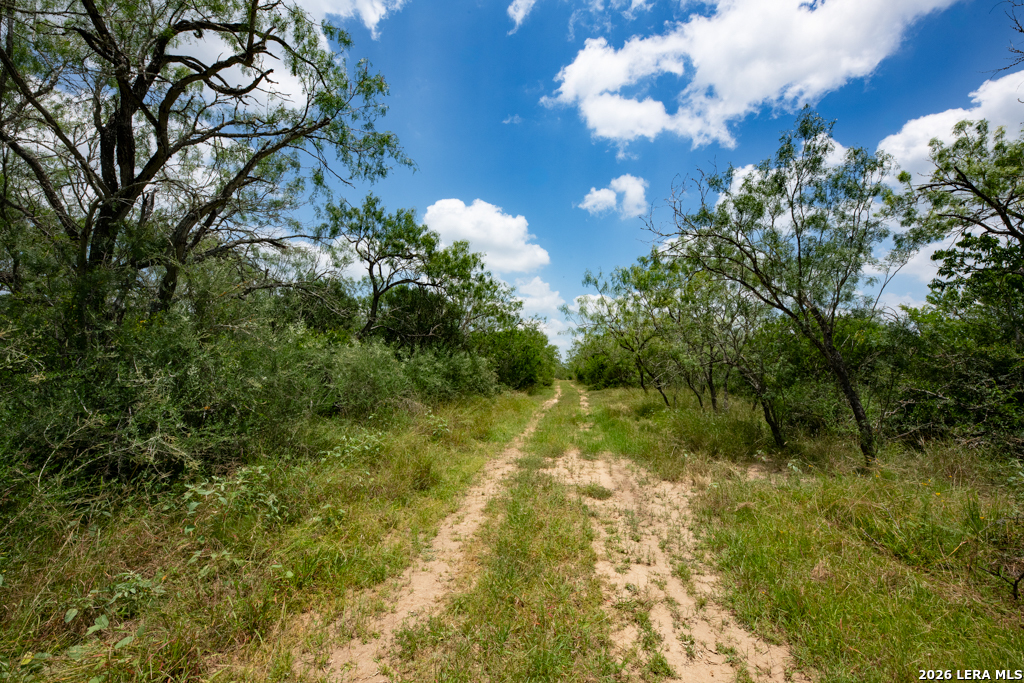 1393 Fox Trotter Seguin TX 78155