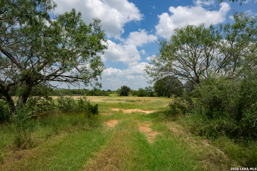 1393 Fox Trotter Seguin TX 78155