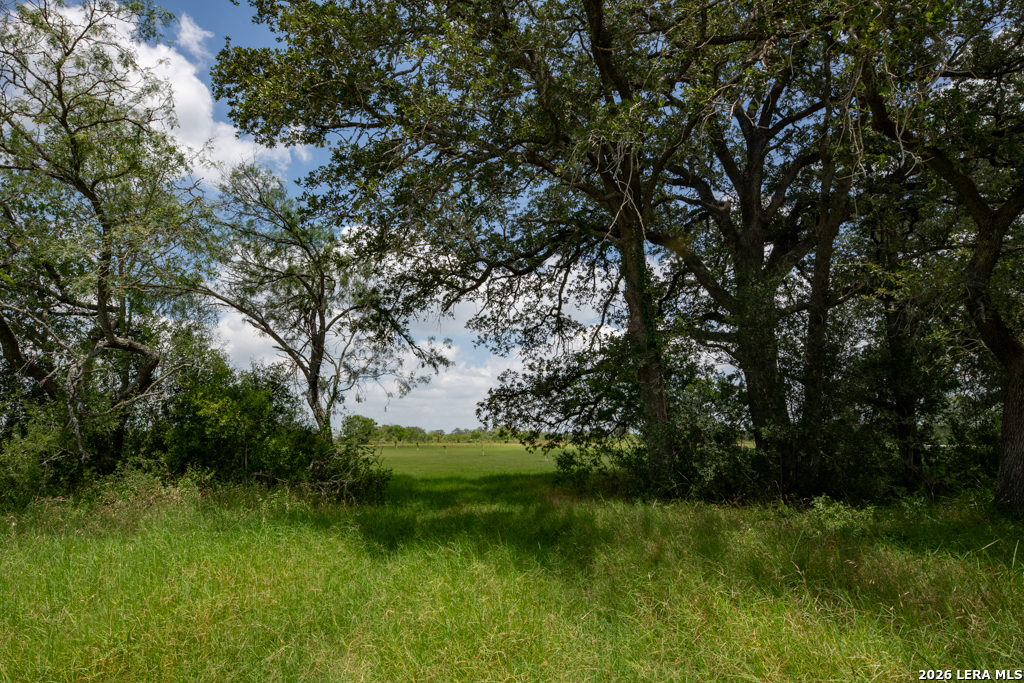 1393 Fox Trotter Seguin TX 78155