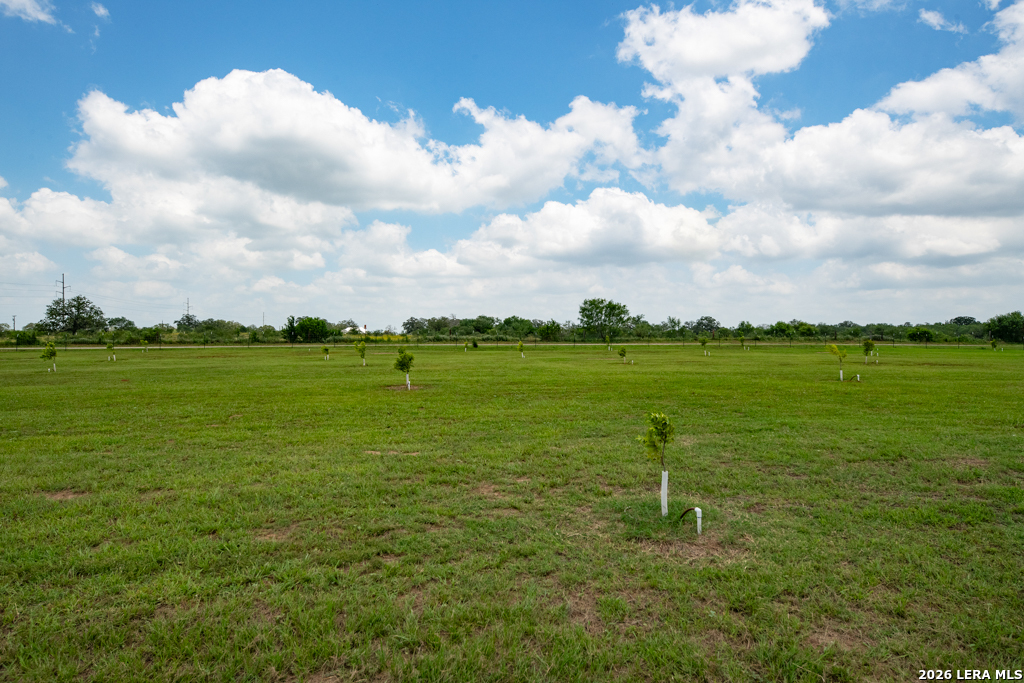 1393 Fox Trotter Seguin TX 78155
