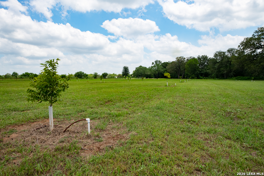 1393 Fox Trotter Seguin TX 78155