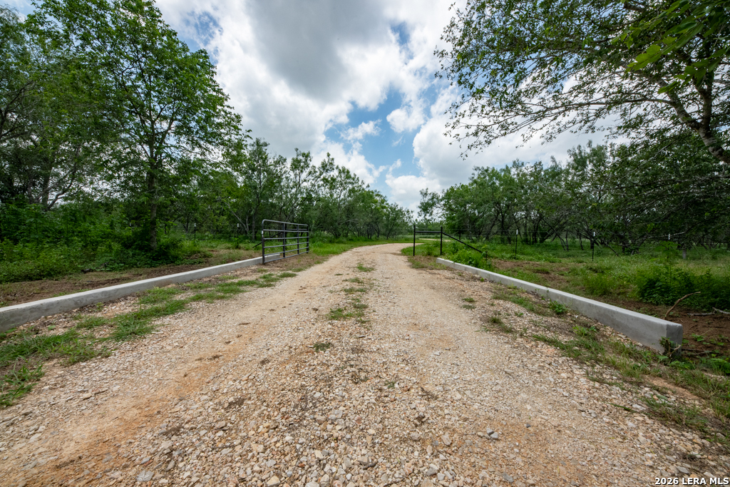 1393 Fox Trotter Seguin TX 78155