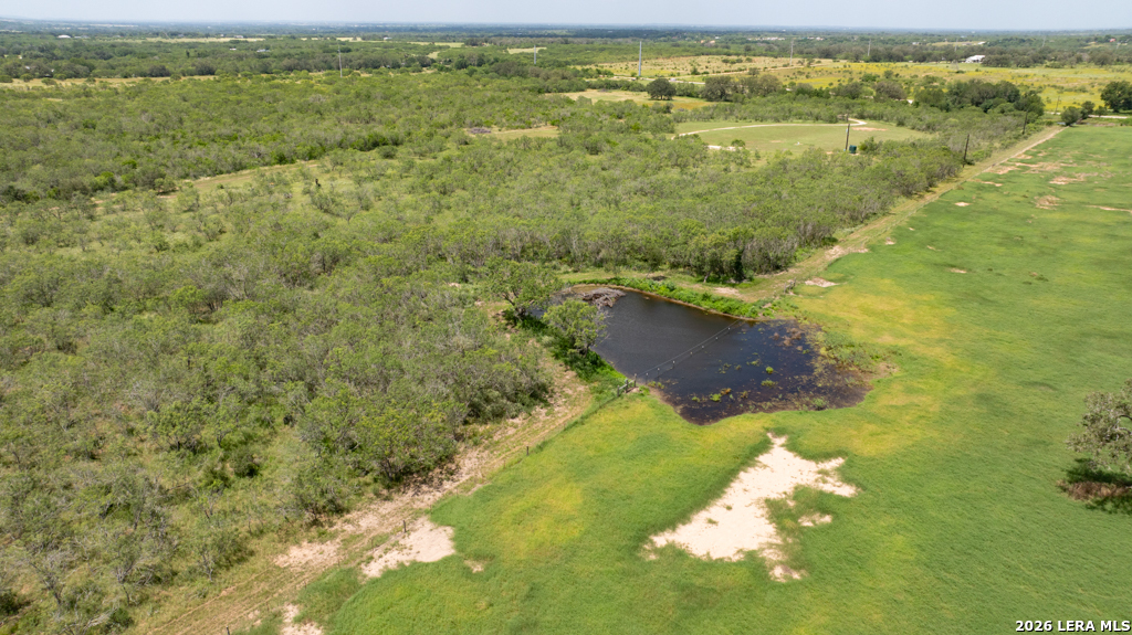 1393 Fox Trotter Seguin TX 78155