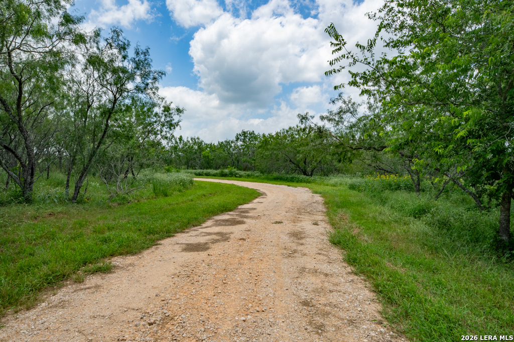 1393 Fox Trotter Seguin TX 78155
