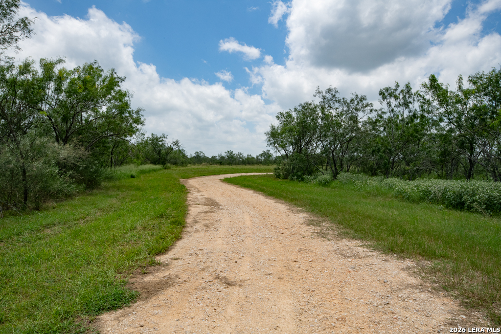 1393 Fox Trotter Seguin TX 78155