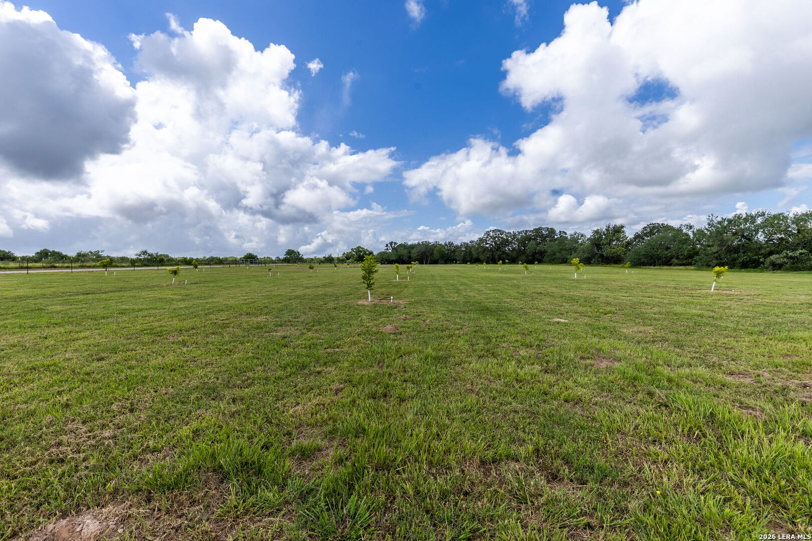 1393 Fox Trotter Seguin TX 78155