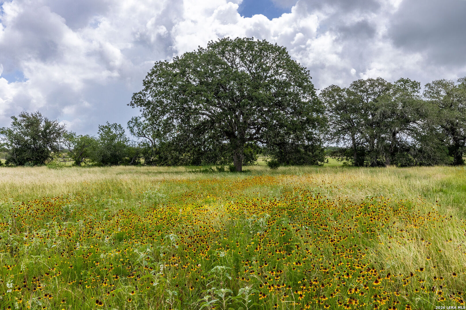1393 Fox Trotter Seguin TX 78155