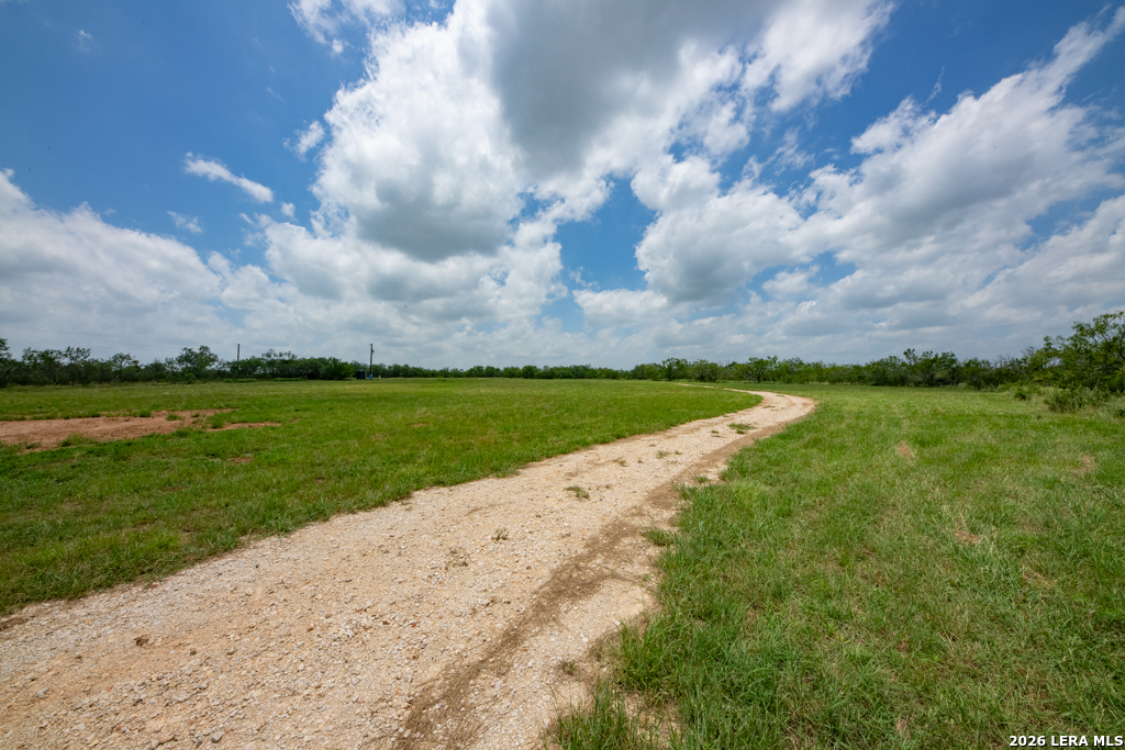 1393 Fox Trotter Seguin TX 78155