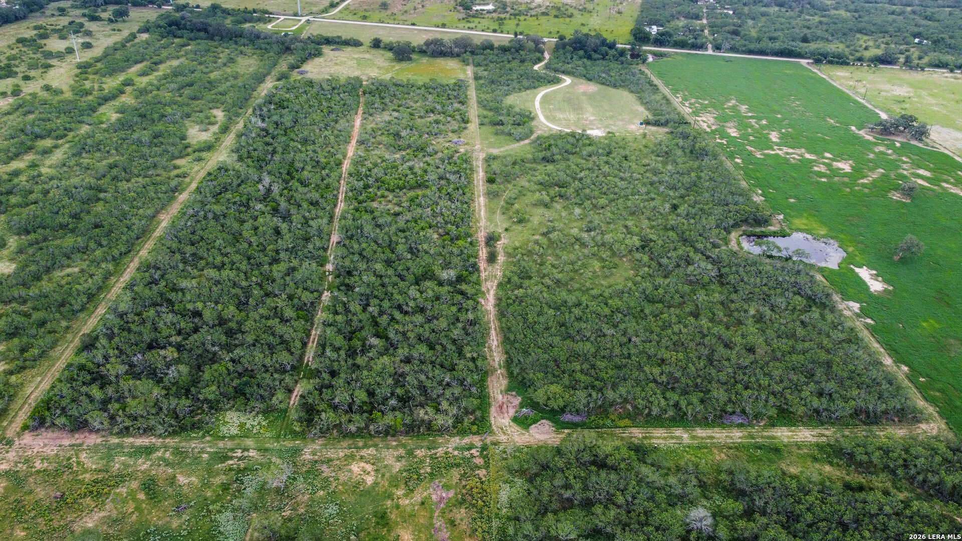 1393 Fox Trotter Seguin TX 78155