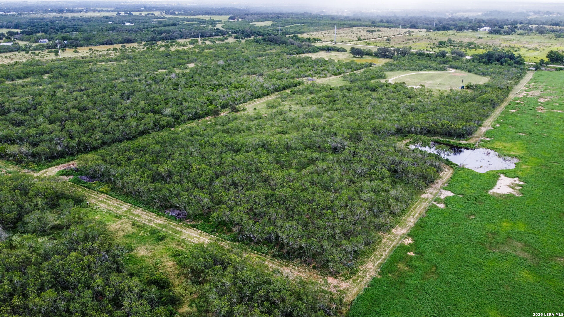 1393 Fox Trotter Seguin TX 78155