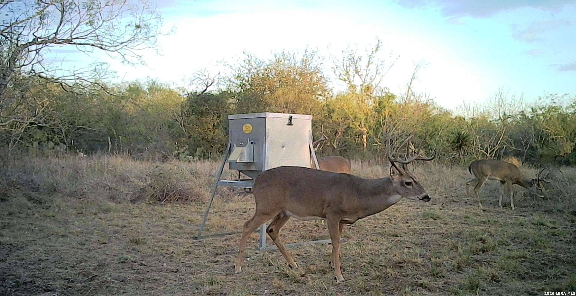 1393 Fox Trotter Seguin TX 78155