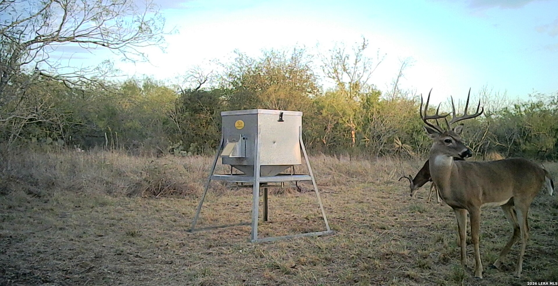 1393 Fox Trotter Seguin TX 78155