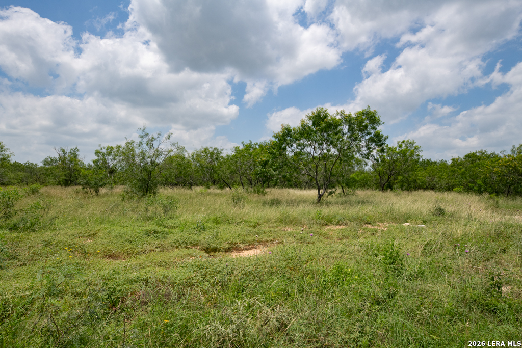 1393 Fox Trotter Seguin TX 78155
