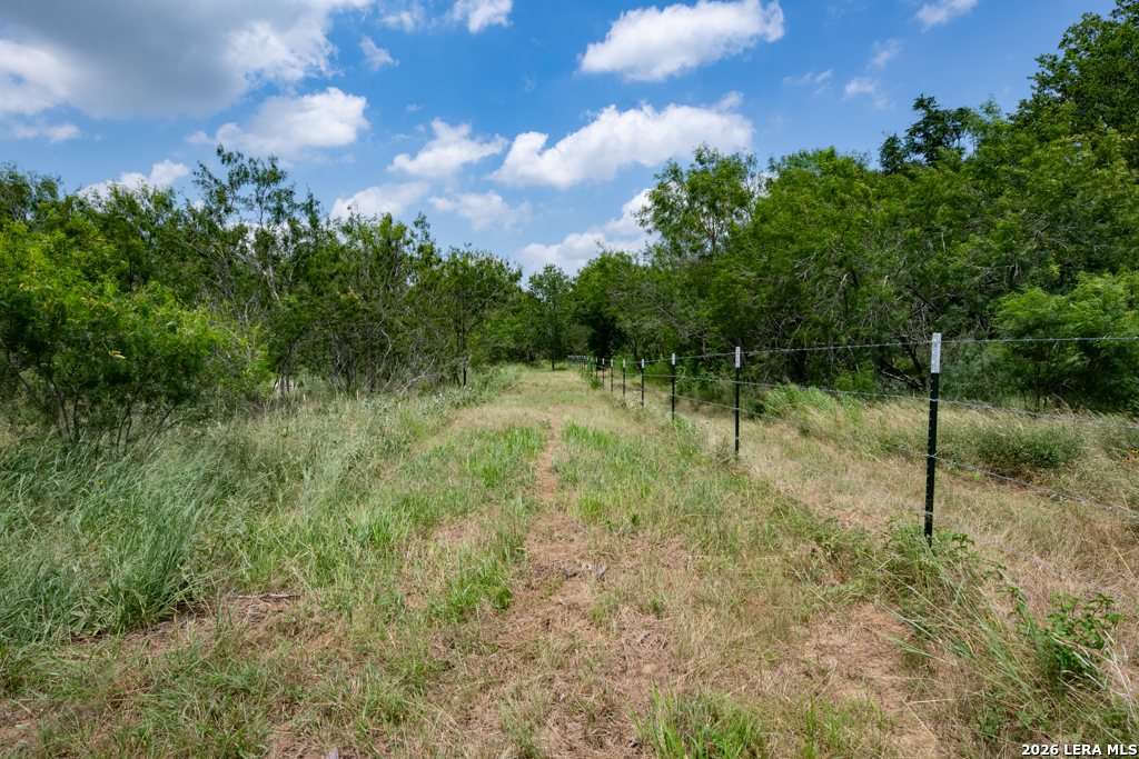 1393 Fox Trotter Seguin TX 78155