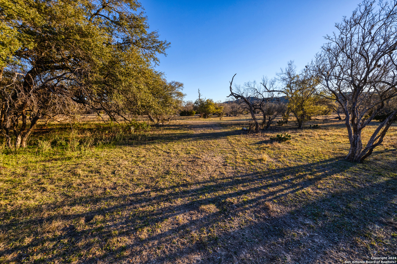 33309 State Highway 55 Uvalde TX 78801