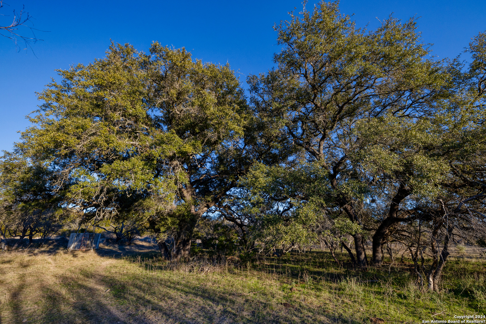 33309 State Highway 55 Uvalde TX 78801