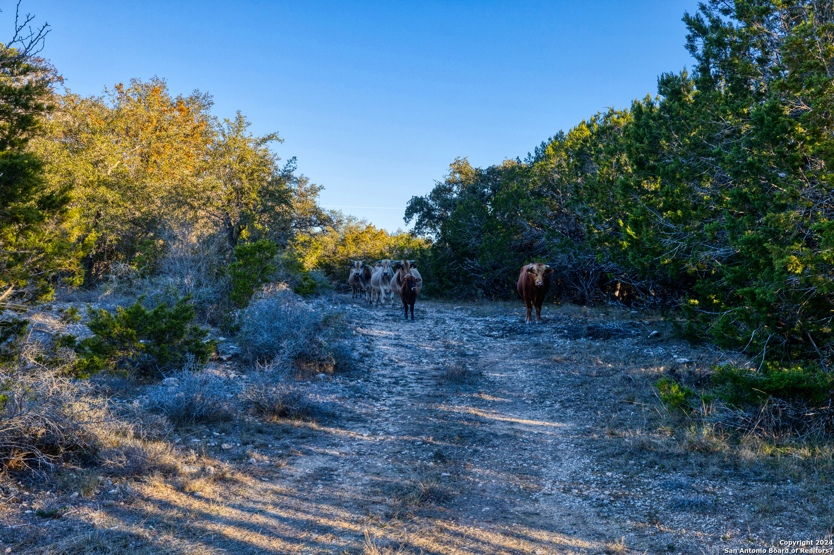 33309 State Highway 55 Uvalde TX 78801