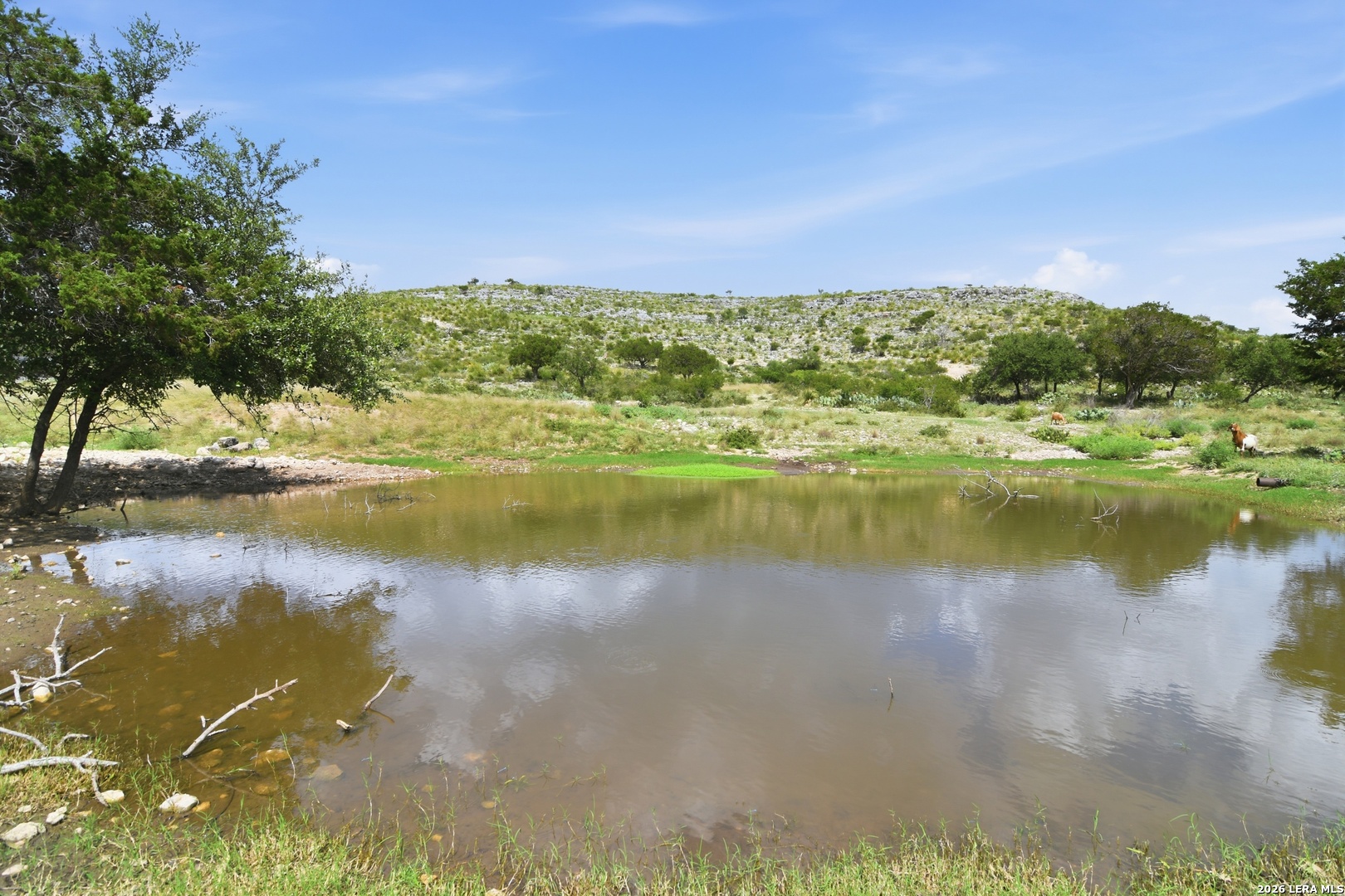 324 Private Road 3325 Sabinal TX 78881