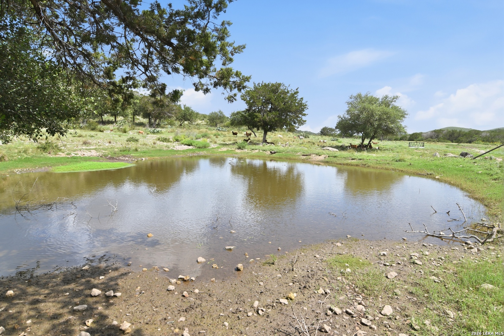 324 Private Road 3325 Sabinal TX 78881