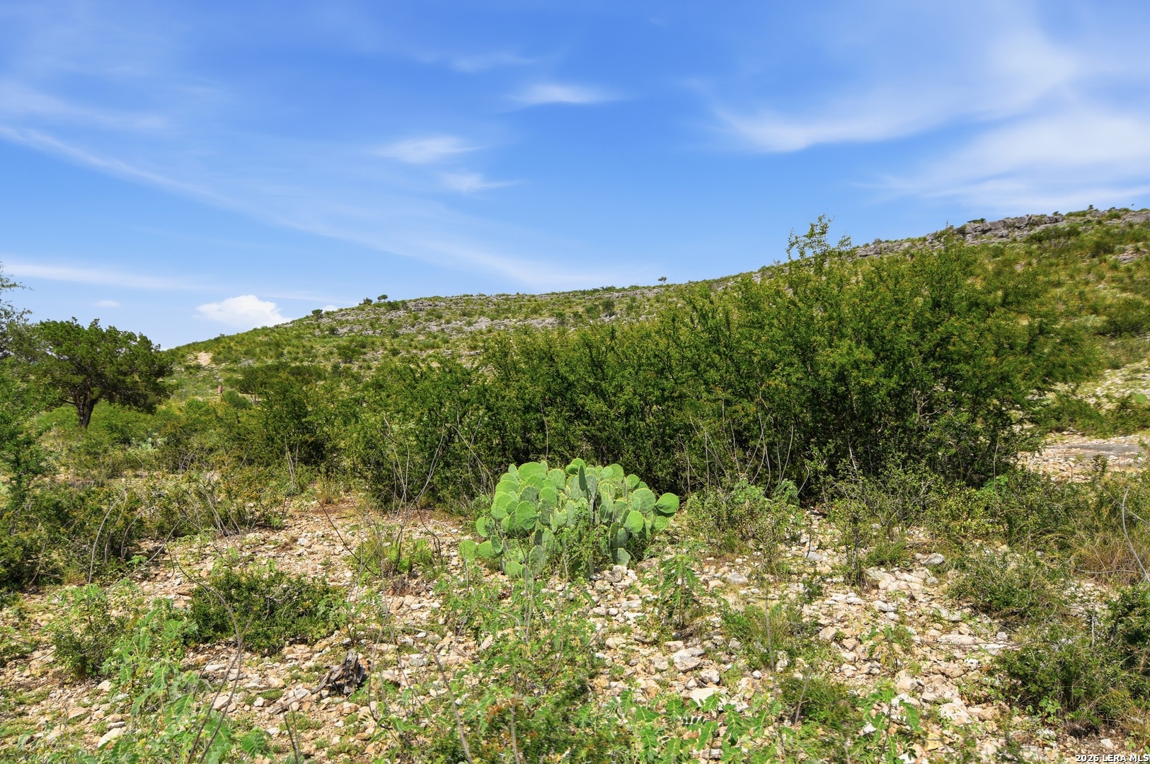 324 Private Road 3325 Sabinal TX 78881