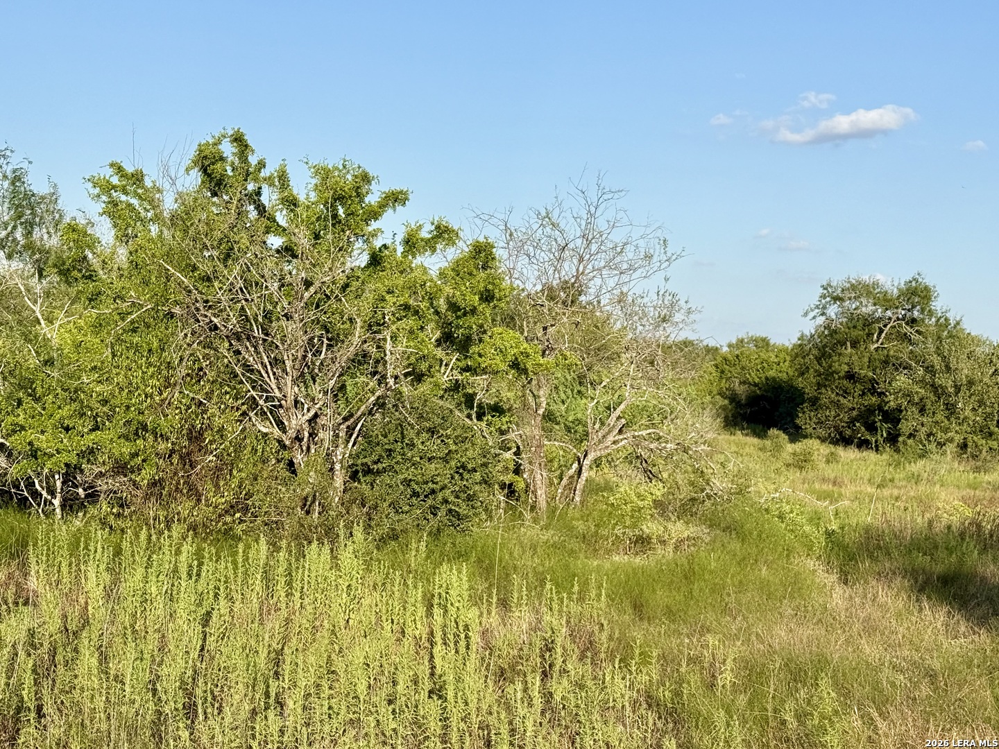 0 Cr 132 Kenedy TX 78119