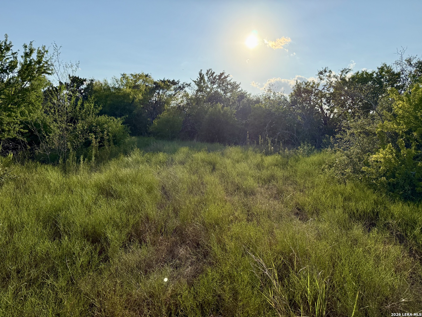 0 Cr 132 Kenedy TX 78119