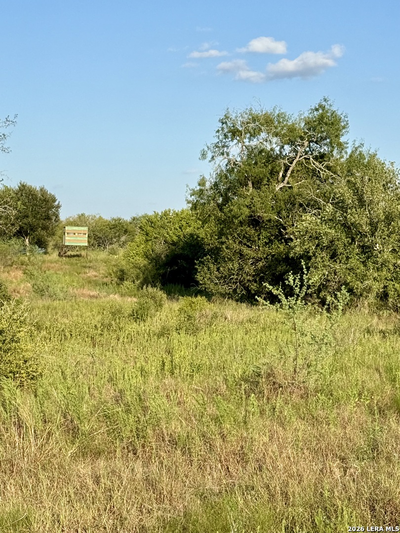0 Cr 132 Kenedy TX 78119