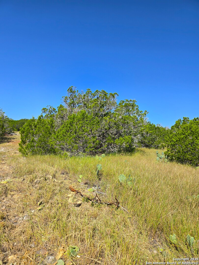 227 Mitchell Ranch Road Camp Wood TX 78833