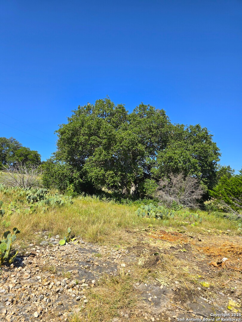 227 Mitchell Ranch Road Camp Wood TX 78833