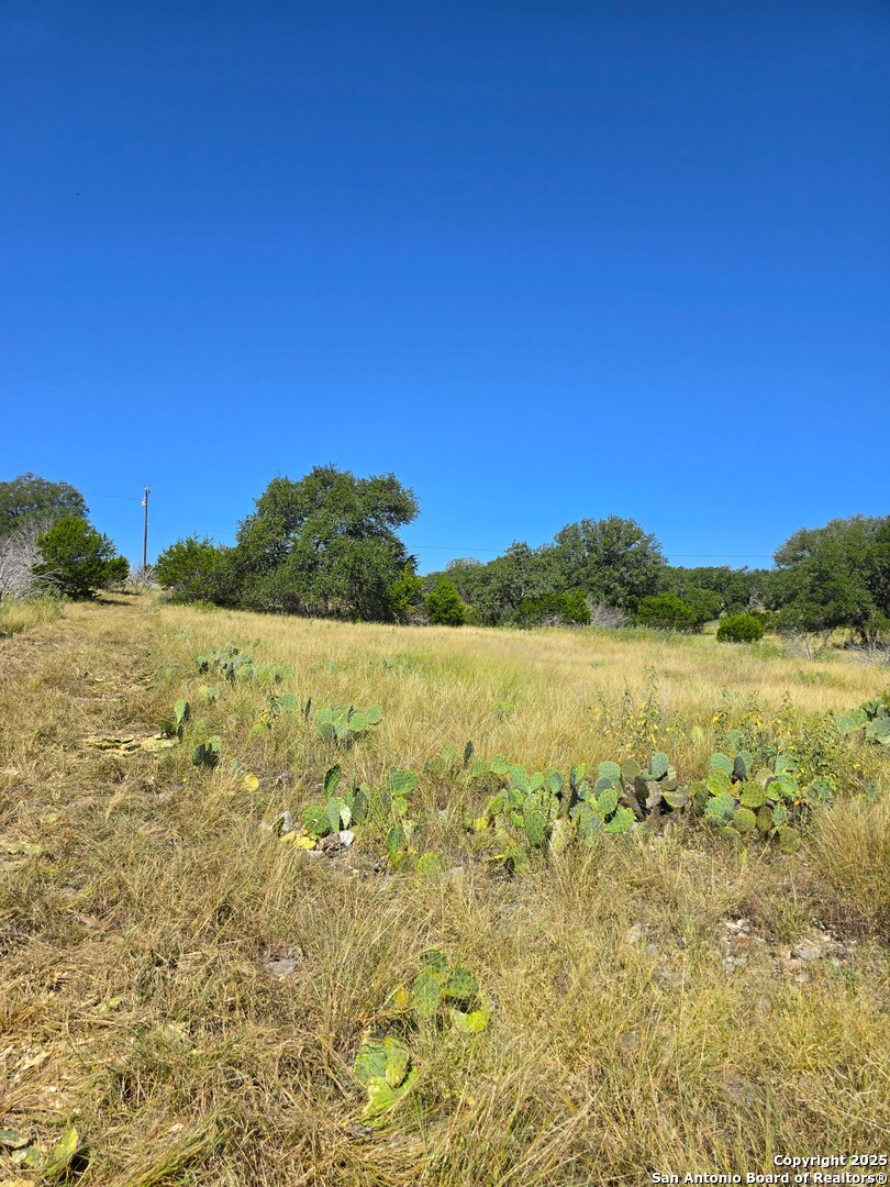 227 Mitchell Ranch Road Camp Wood TX 78833