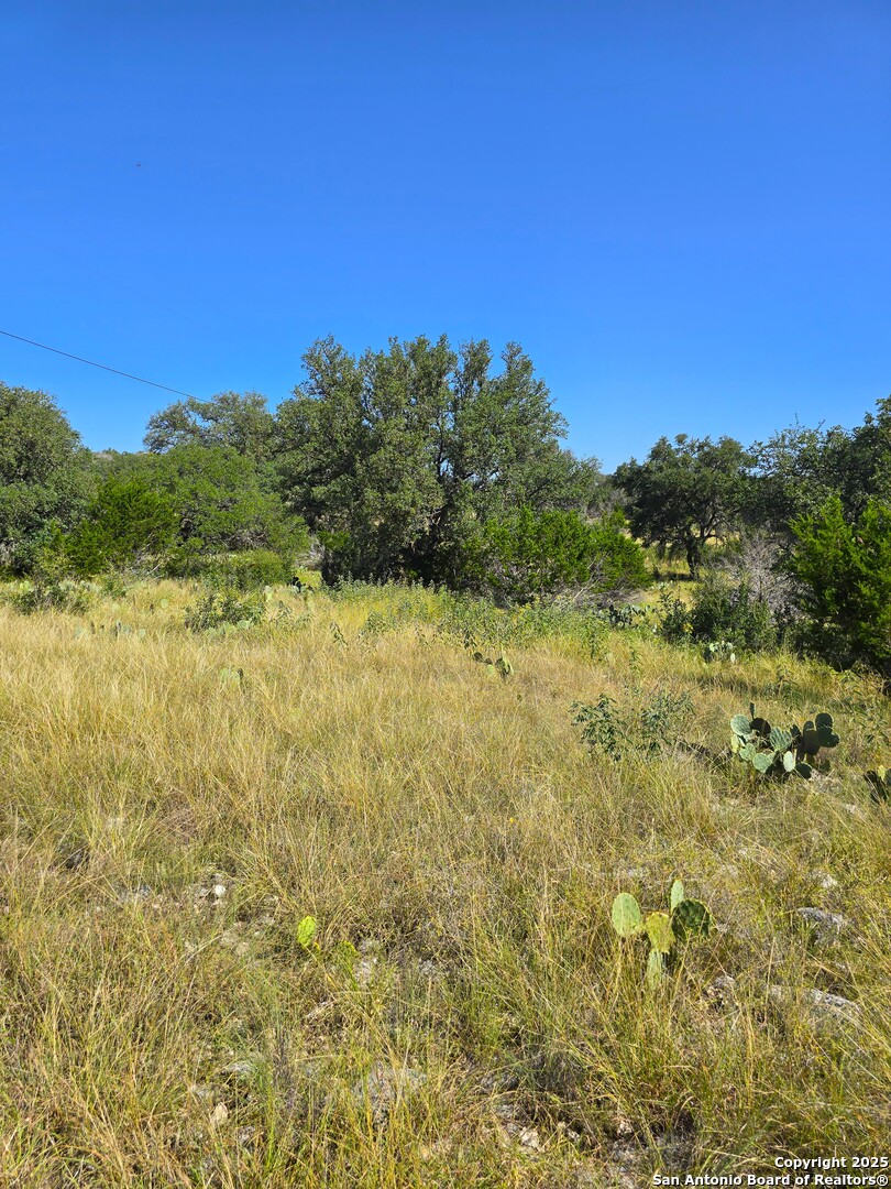 227 Mitchell Ranch Road Camp Wood TX 78833