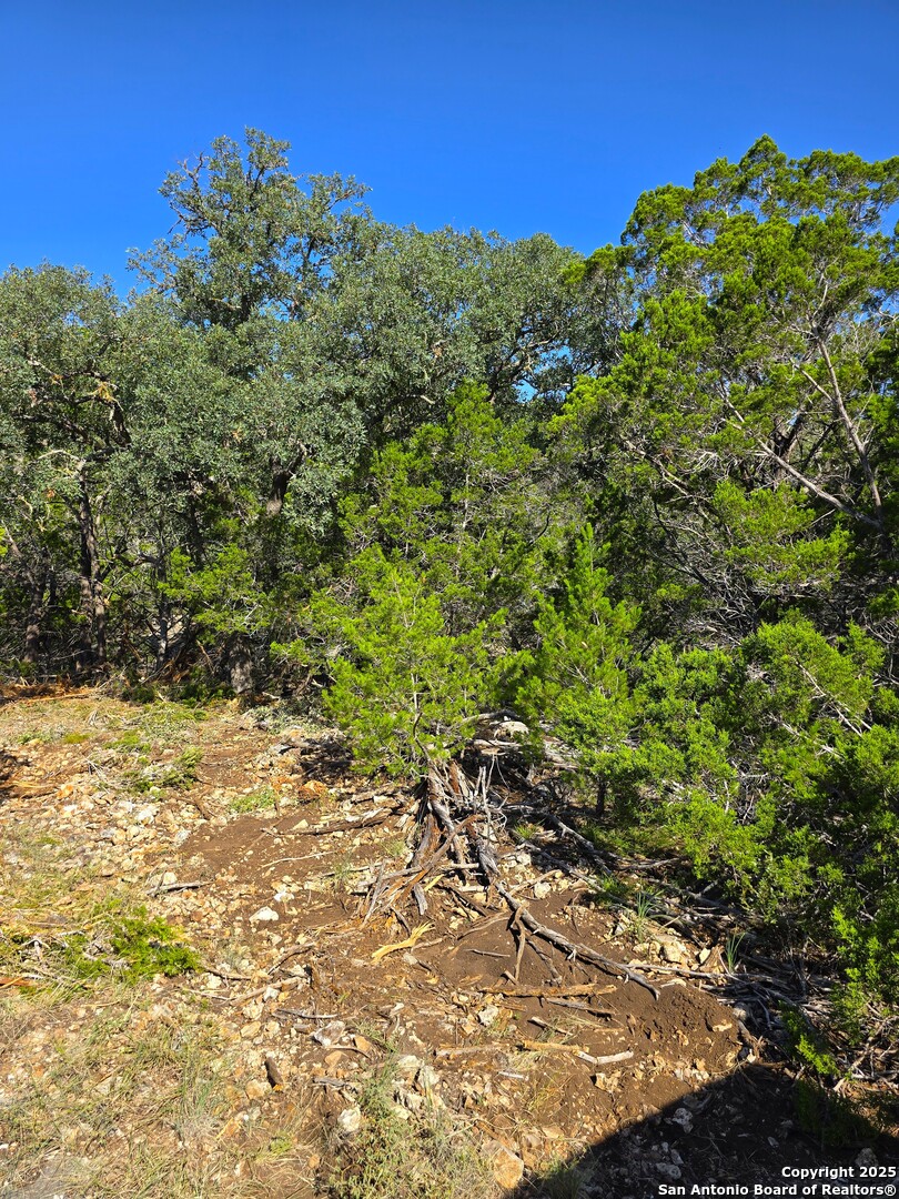 227 Mitchell Ranch Road Camp Wood TX 78833