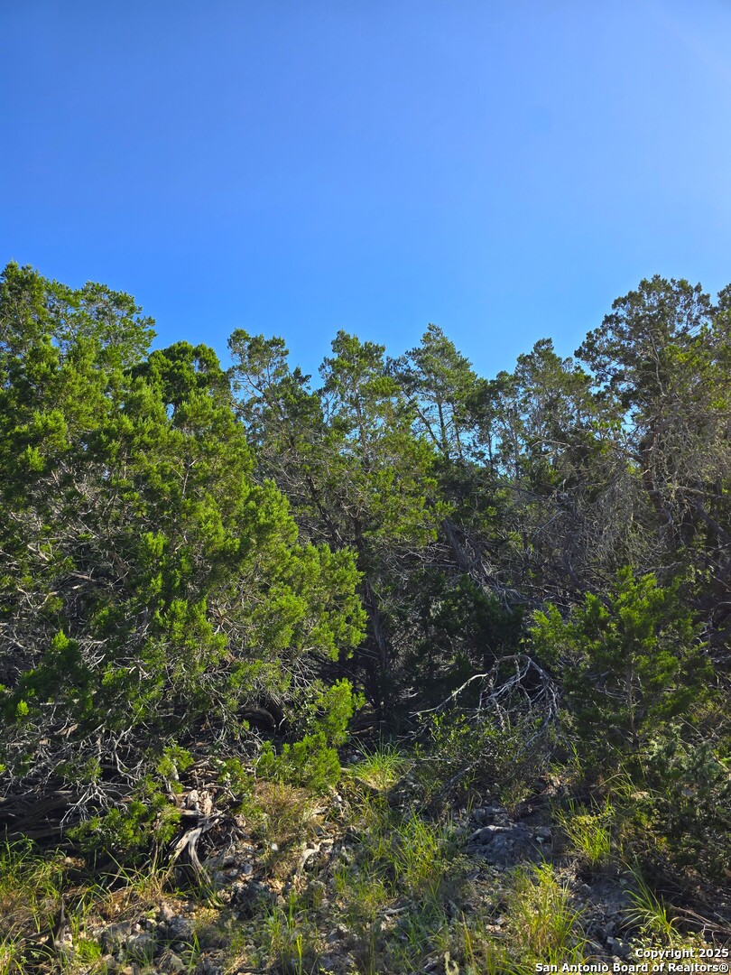 227 Mitchell Ranch Road Camp Wood TX 78833