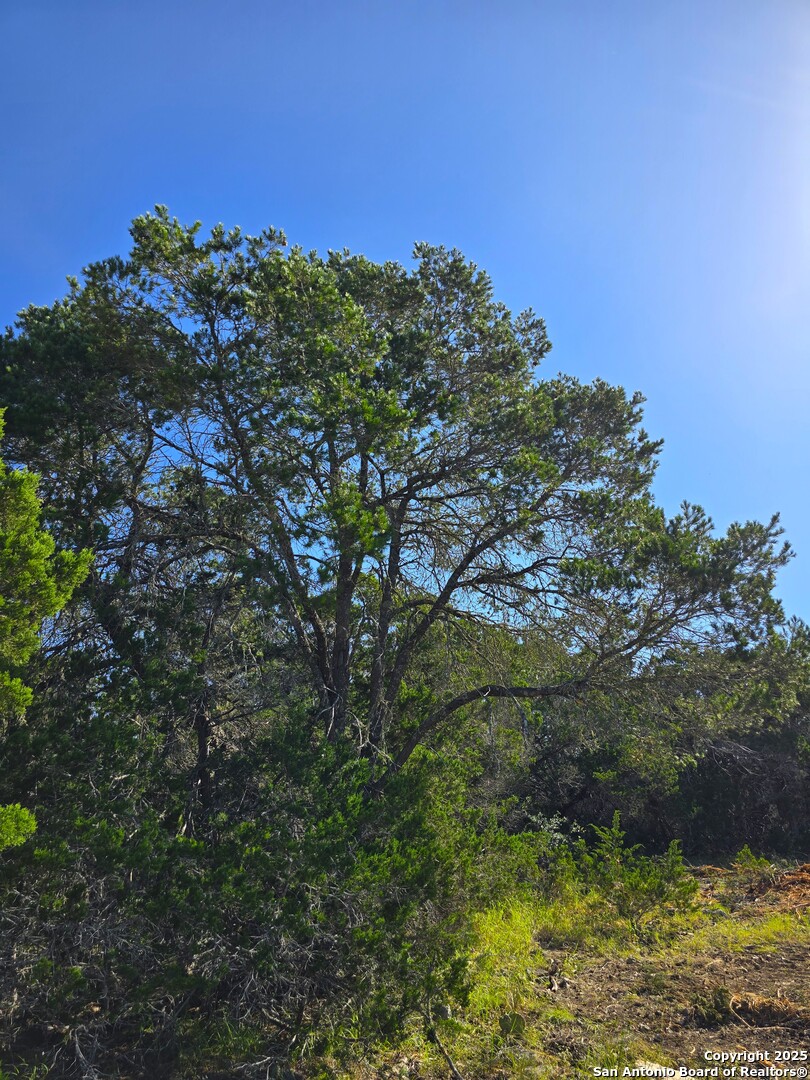 227 Mitchell Ranch Road Camp Wood TX 78833