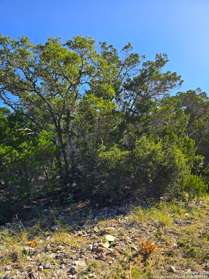 227 Mitchell Ranch Road Camp Wood TX 78833